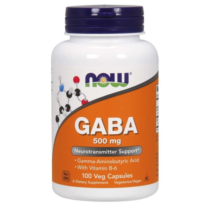 GABA - 500mg - 100 gélules | Now Foods